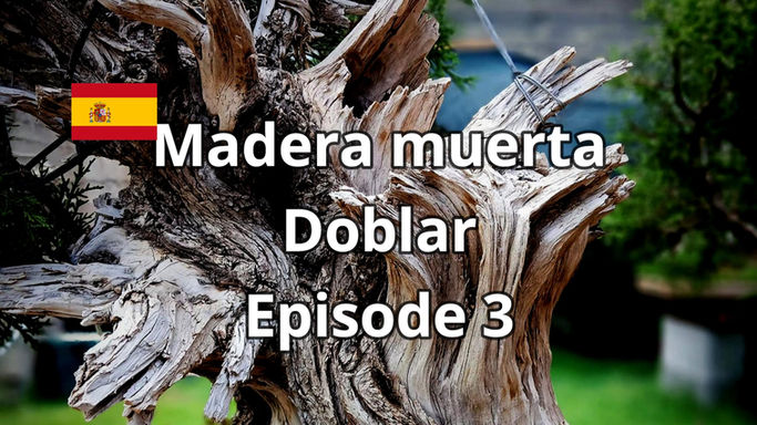 Book - Madera muerta - Doblar Ep.3